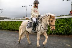 20251102-164133-DSC_3692