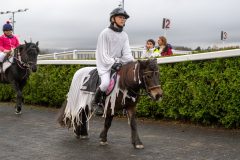 20251102-164137-DSC_3708