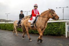 20251102-164144-DSC_3742