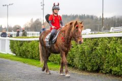 20251102-164154-DSC_3757