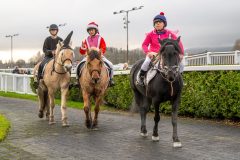 20251102-164303-DSC_3852