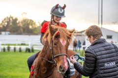 20251102-164341-DSC_3924