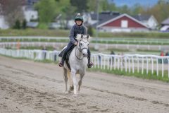 20250503-135626-DSC_4127