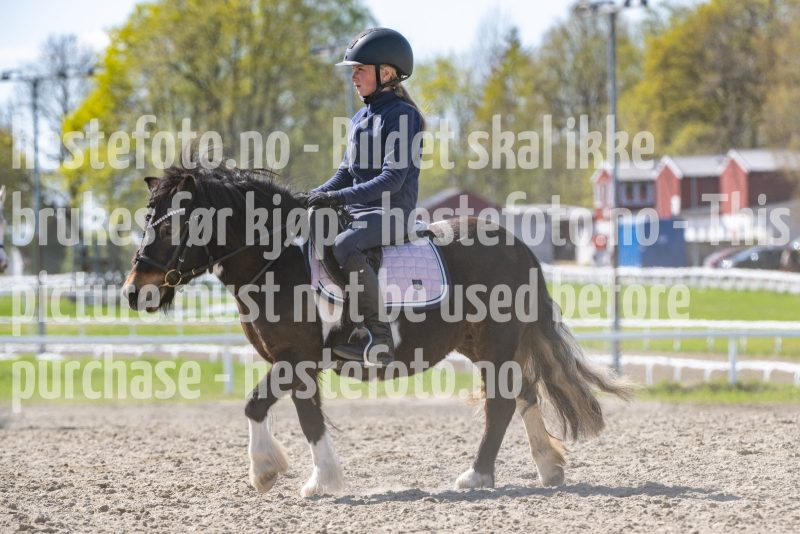 20250426-132415-DSC_0509