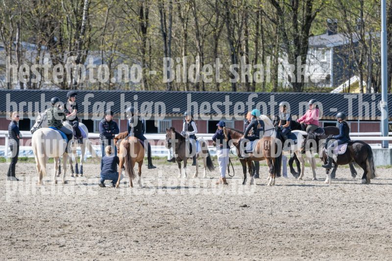 20250426-142216-DSC_2096