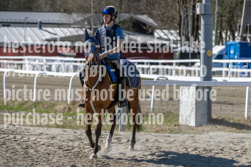 20250412-130140-DSC_0812