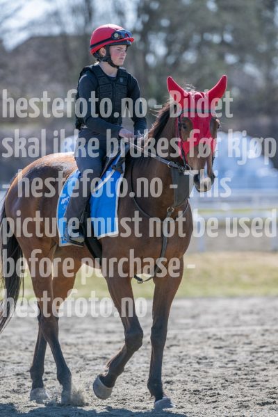 20250412-130331-DSC_0844