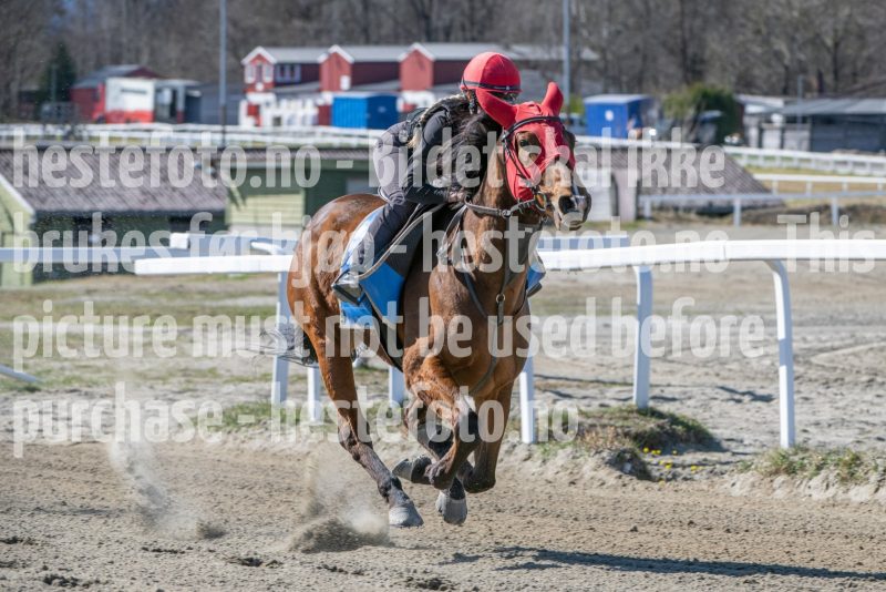 20250412-132321-DSC_1095
