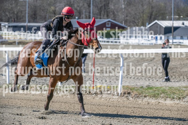 20250412-132322-DSC_1101