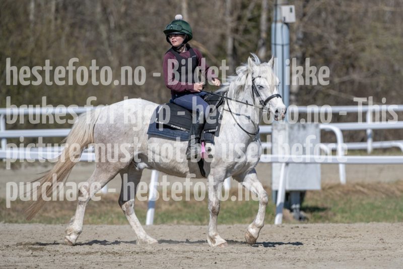 20250412-133225-DSC_1202