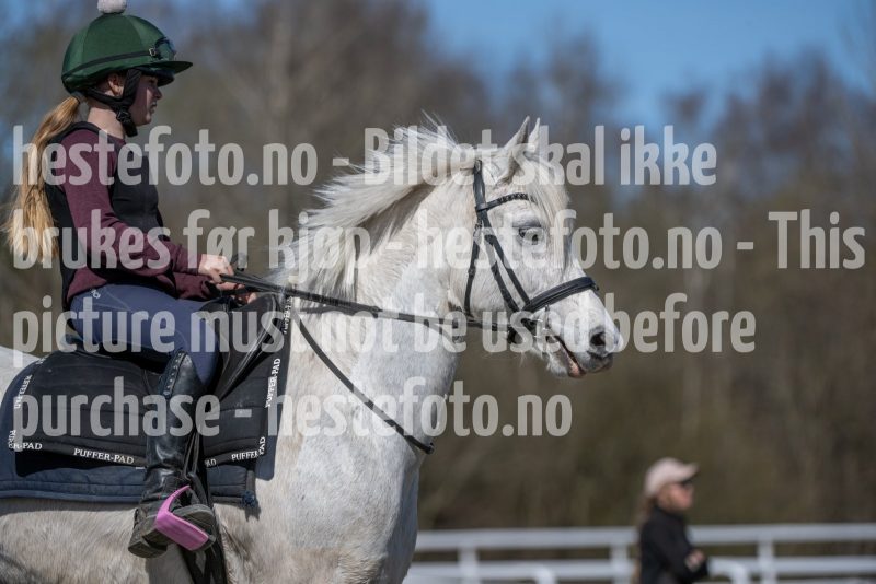 20250412-133254-DSC_1256