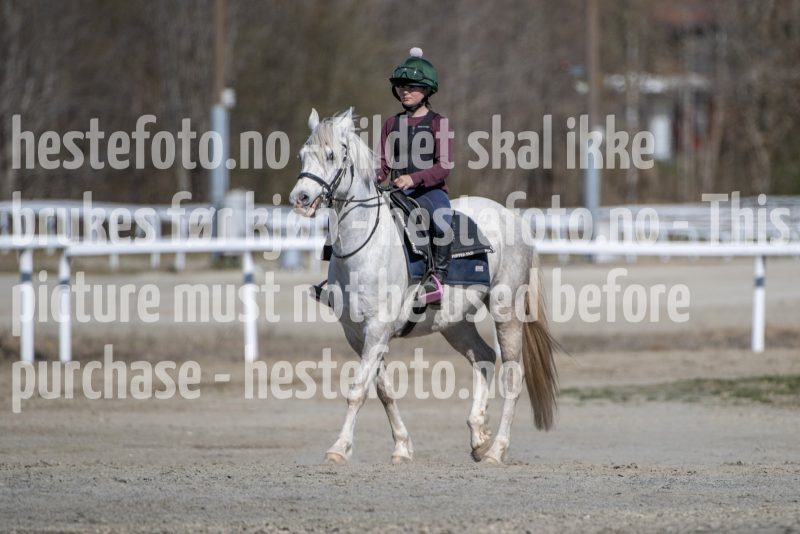 20250412-133337-DSC_1298