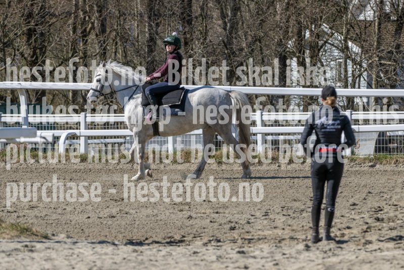 20250412-134430-DSC_1408