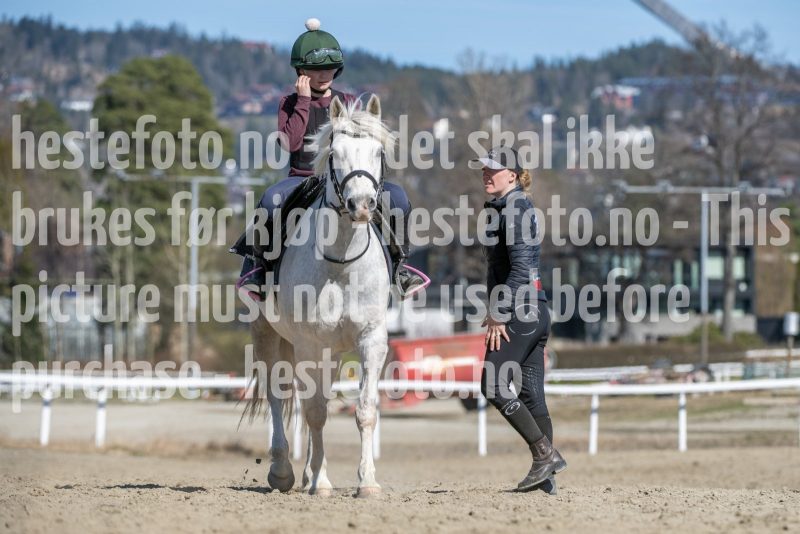 20250412-134633-DSC_1510