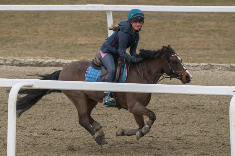 1_ponni-20230430_1.19.2
