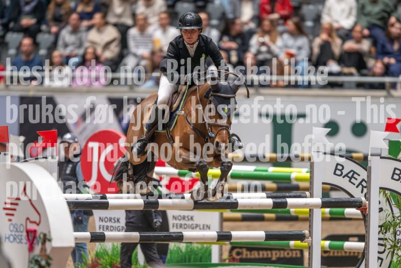 20241020-114551-2024-10-20-11-45-52-74-NIKON-Z-9