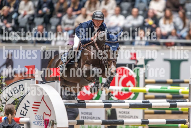 20241020-120826-2024-10-20-12-08-26-18-NIKON-Z-9