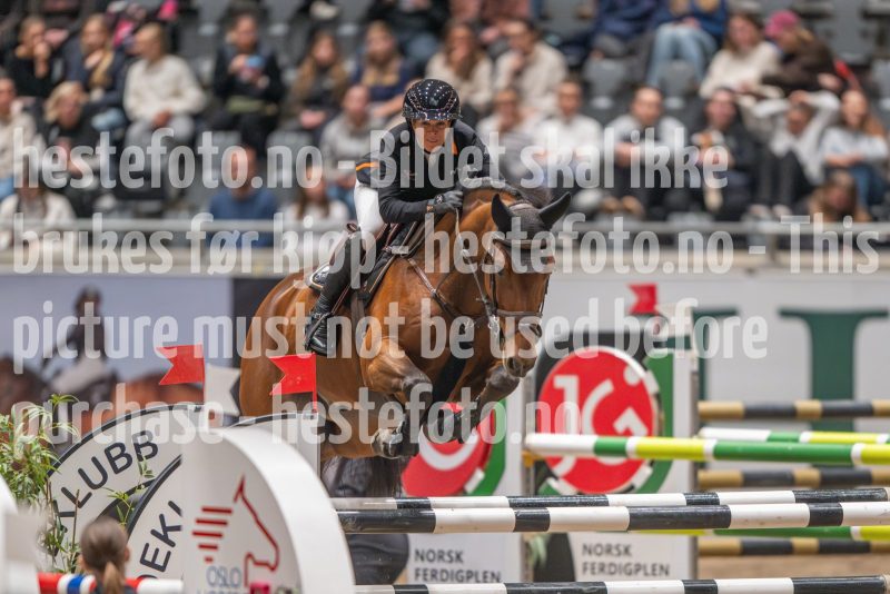 20241020-121139-2024-10-20-12-11-40-65-NIKON-Z-9