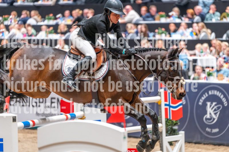 20241020-153925-2024-10-20-15-39-26-35-NIKON-Z-6-2