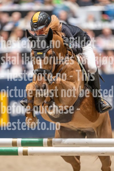 20241020-154653-2024-10-20-15-46-53-06-NIKON-Z-9