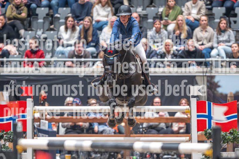20241020-154918-2024-10-20-15-49-18-13-NIKON-Z-9