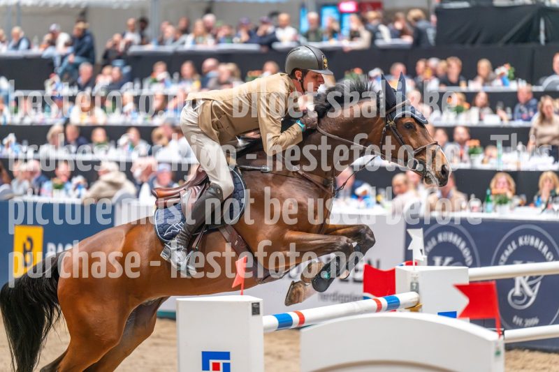 20241020-160255-2024-10-20-16-02-56-45-NIKON-Z-6-2