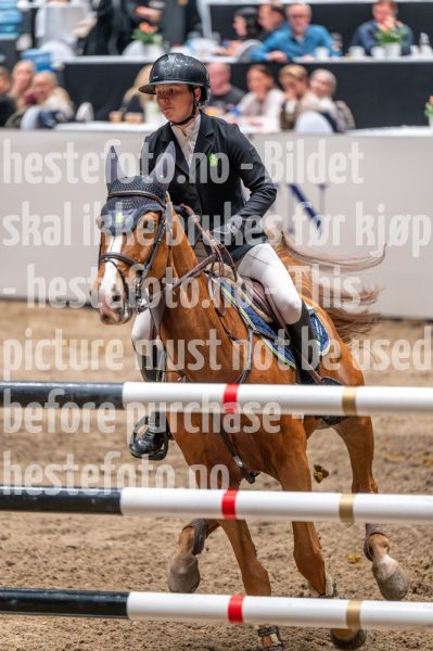 20241020-163026-2024-10-20-16-30-26-10-NIKON-Z-6-2