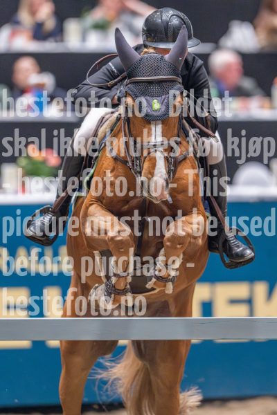 20241020-163035-2024-10-20-16-30-36-88-NIKON-Z-9