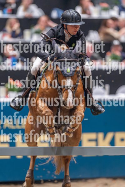 20241020-163035-2024-10-20-16-30-36-99-NIKON-Z-9