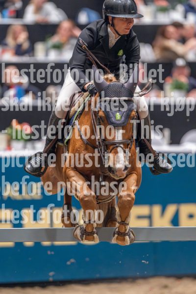 20241020-163036-2024-10-20-16-30-36-08-NIKON-Z-9