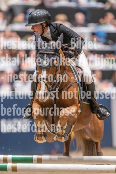 20241020-163102-2024-10-20-16-31-03-60-NIKON-Z-9