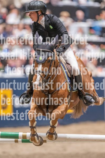 20241020-163102-2024-10-20-16-31-03-75-NIKON-Z-9