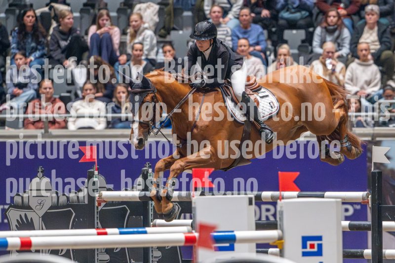 20241020-163506-2024-10-20-16-35-06-03-NIKON-Z-9