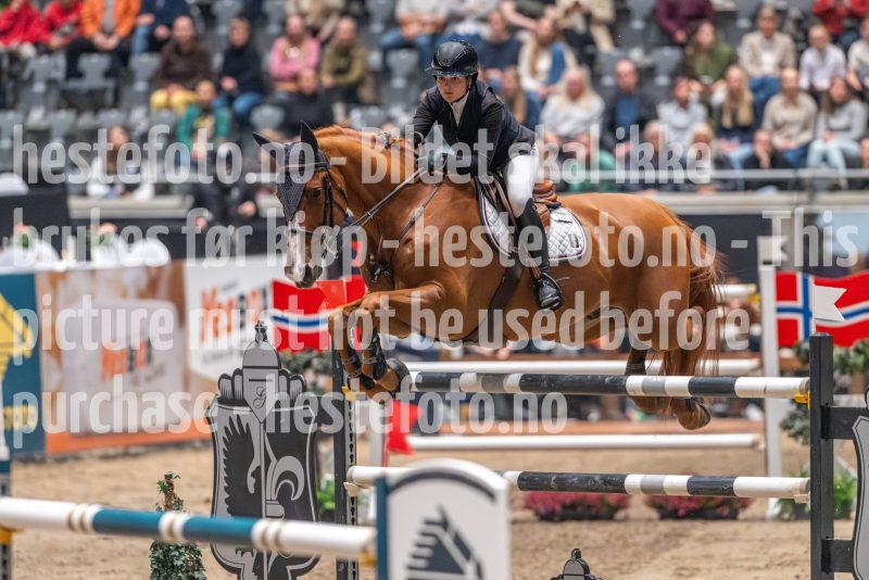 20241020-163509-2024-10-20-16-35-09-04-NIKON-Z-9