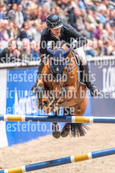 20241020-164927-2024-10-20-16-49-28-47-NIKON-Z-6-2