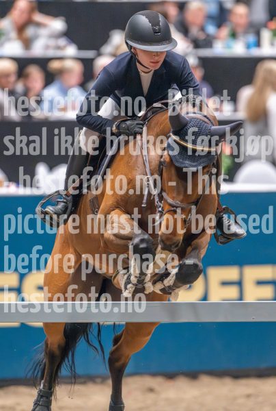 20241020-165109-2024-10-20-16-51-10-50-NIKON-Z-9