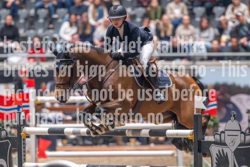 20241020-165132-2024-10-20-16-51-33-65-NIKON-Z-9