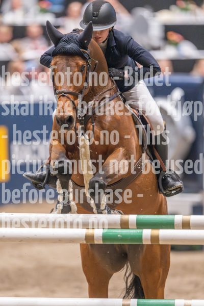 20241020-165136-2024-10-20-16-51-36-02-NIKON-Z-9