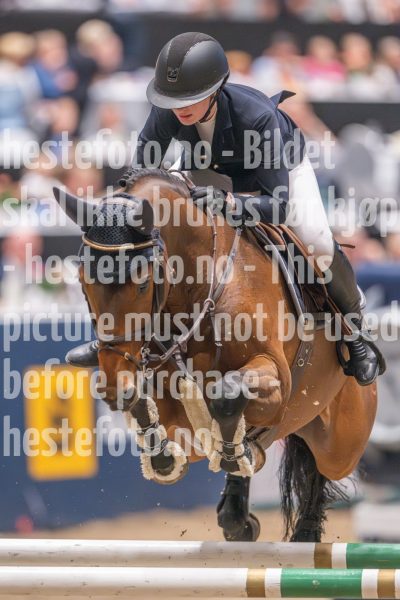20241020-165136-2024-10-20-16-51-36-27-NIKON-Z-9