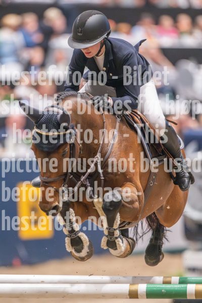 20241020-165136-2024-10-20-16-51-36-33-NIKON-Z-9