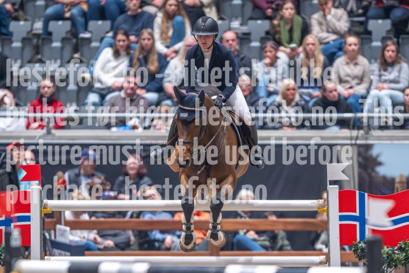 20241020-165158-2024-10-20-16-51-58-01-NIKON-Z-9
