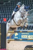 20251015-181524-DSC_4756