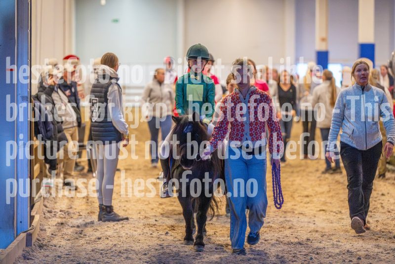 20251018-164829-DSC_7475