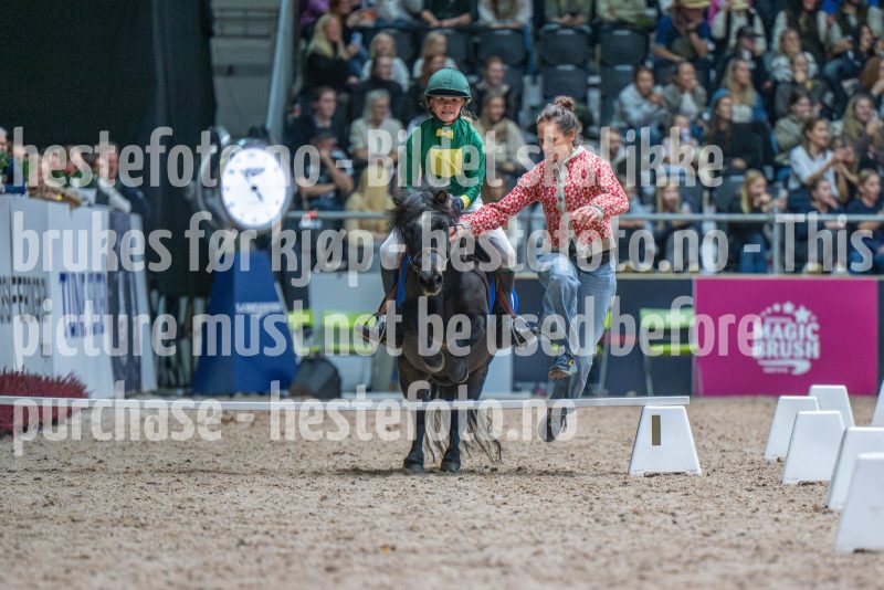 20251018-165352-DSC_8130