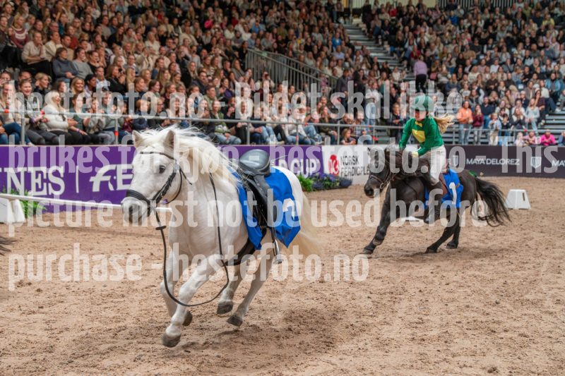 20251018-165532-DSC_8076