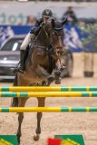 20231013-220302-214N-DSC_3754