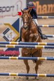 20231013-221035-214N-DSC_4496