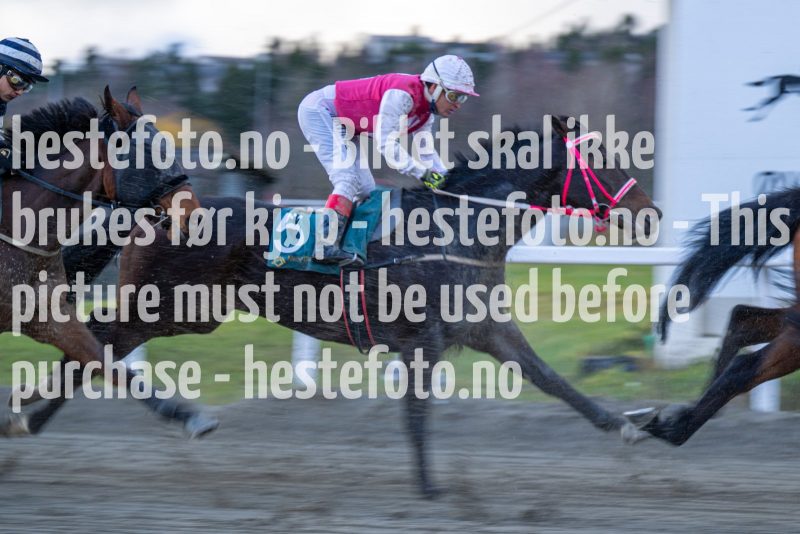 20221106-152425-DSC_6122
