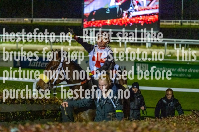20231019-201417-DSC_4453