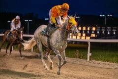 20231026-181922-DSC_4999